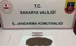 Otoyolda uyuşturucu sevkiyatı jandarmaya takıldı: 1 tutuklama