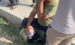 Şanlıurfa’da çocukların kavgasına büyükler karıştı: 5 yaralı