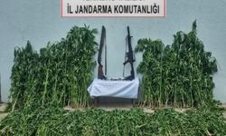 Tekirdağ’da jandarmadan uyuşturucu ve silah operasyonu