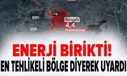 "Doğu Anadolu Fay Hattı'ndaki enerji birikti": En tehlikeli bölge diyerek uyardı
