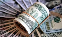 Dolar, olası Trump-Xi görüşmesini bekliyor