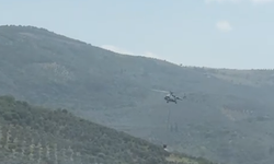 Bursa'da ormanlık alanda yangın!