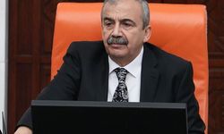 Sırrı Süreyya Önder'in yerine başkanvekilliğine kim getirildi?