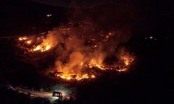 Orman yangınları devam ediyor: 2 il afet bölgesi ilan edildi, 27 kişi tutuklandı