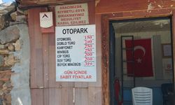 Bursa’da otopark çilesi devam ediyor! Fiyatlar cep yakıyor
