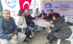 EMED-FED Genel Başkanı Gönül Boran Özüpak’tan sert eleştiriler