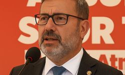 Bursa muhtar Sinan Kaya'dan çağrı: Şeftaliye sahip çıkalım