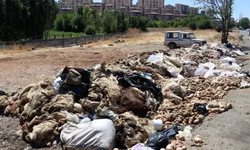 BUSKİ’den kurban atıklarıyla ilgili önemli uyarı!