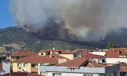 Bilecik 4 gündür yanıyor!