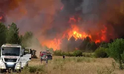 Orman yangınında 10 orman işçisi şehit oldu