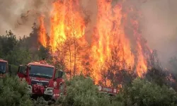 Gemlik Belediyesi'nden yangın riskine karşı uyarı