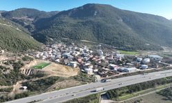 Bursa'da orman yangınlarından geriye karanlık ve sessizlik kaldı