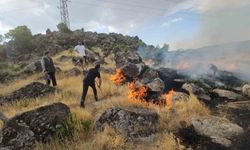 Bitlis’te örtü yangını