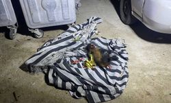 Çöp konteynerindeki yangın sonrası köpeğin telef olduğu ortaya çıktı