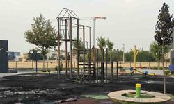 Diyarbakır’da çocuk parkı alevlere teslim oldu