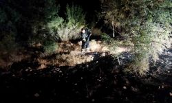 Ekipler seferber oldu, örtü yangını ormana sıçramadan söndürüldü