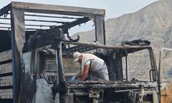 Erzurum-Artvin yolunda tır alev alev yandı
