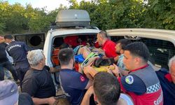Fındık tarlasında çalışırken dereye düştü: Ekipler seferber oldu