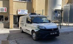 Kene kabusu devam ediyor, Sivas’ta keneden ölenlerin sayısı 12’ye yükseldi