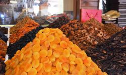 Kuru kayısı ihracatı yüzde 18 geriledi
