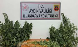 Nazilli’de uyuşturucu operasyonu