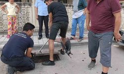 Bursa'da rögarda mahsur kalan kargayı itfaiye kurtardı