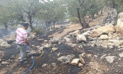 Siirt’te orman yangını büyümeden söndürüldü