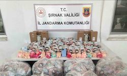 Şırnak’ta jandarmadan mali, narkotik ve kaçakçılık operasyonu