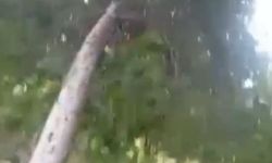Siverek’te fırtına hayatı olumsuz etkiledi
