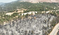 Gürsu yangınından yürek burkan bu manzaralar kaldı