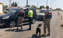 Van’da farklı suçlardan aranan 20 kişi tutuklandı