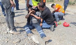 Yangına müdahale eden belediye işçisi hayvanlar için gözyaşı döktü