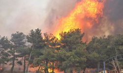 Çanakkale’deki orman yangınının sebebi belli oldu! 2 kişi gözaltında