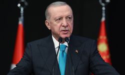 Cumhurbaşkanı Erdoğan'dan orman yangınlarıyla ilgili açıklama