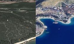 Bodrum Güvercinlik’te doğa katliamı 20 yılda böyle görüntülendi