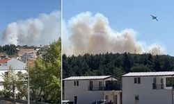 İzmir Urla ve Edirne Keşan'da orman yangını