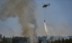 Bazı illerde çıkan orman yangınlarına müdahale sürüyor