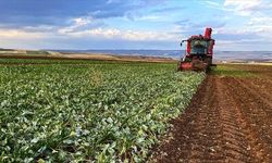 Çiftçilere toplam 826 milyon lira destek