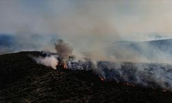 Çeşme'deki yangın kontrol altında!