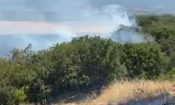 Bursa'da korkutan arazi yangını