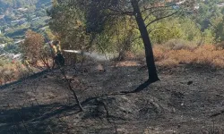 Hatay’daki orman yangınında son durum