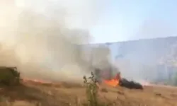 Çıkan anız yangınında son durum