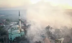 Çanakkale'deki orman yangınına ilişkin 4 kişi gözaltına alındı