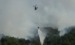 Bolu’daki orman yangını kısmen kontrol altınd