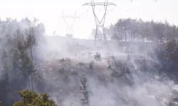 Çanakkale'de korkutan yangın