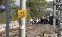 Marmaray hattına ağaç devrildi!