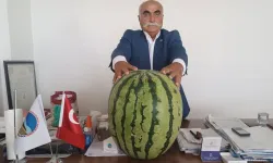 Tam 45 kilo! Bu karpuza bakan bir daha baktı