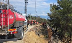 Bursa'da 1 dönüm orman yandı