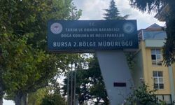 Bursa'da av yasağı kararına tepki!