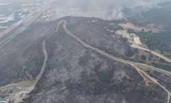 Bursa'da “Temizle, Yeşert, Koru” seferberliği